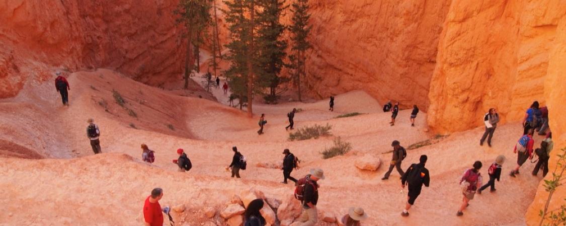 Geology Field Trip to Bryce Canyon