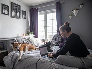 A student doing her homework on her bed with her dogs.