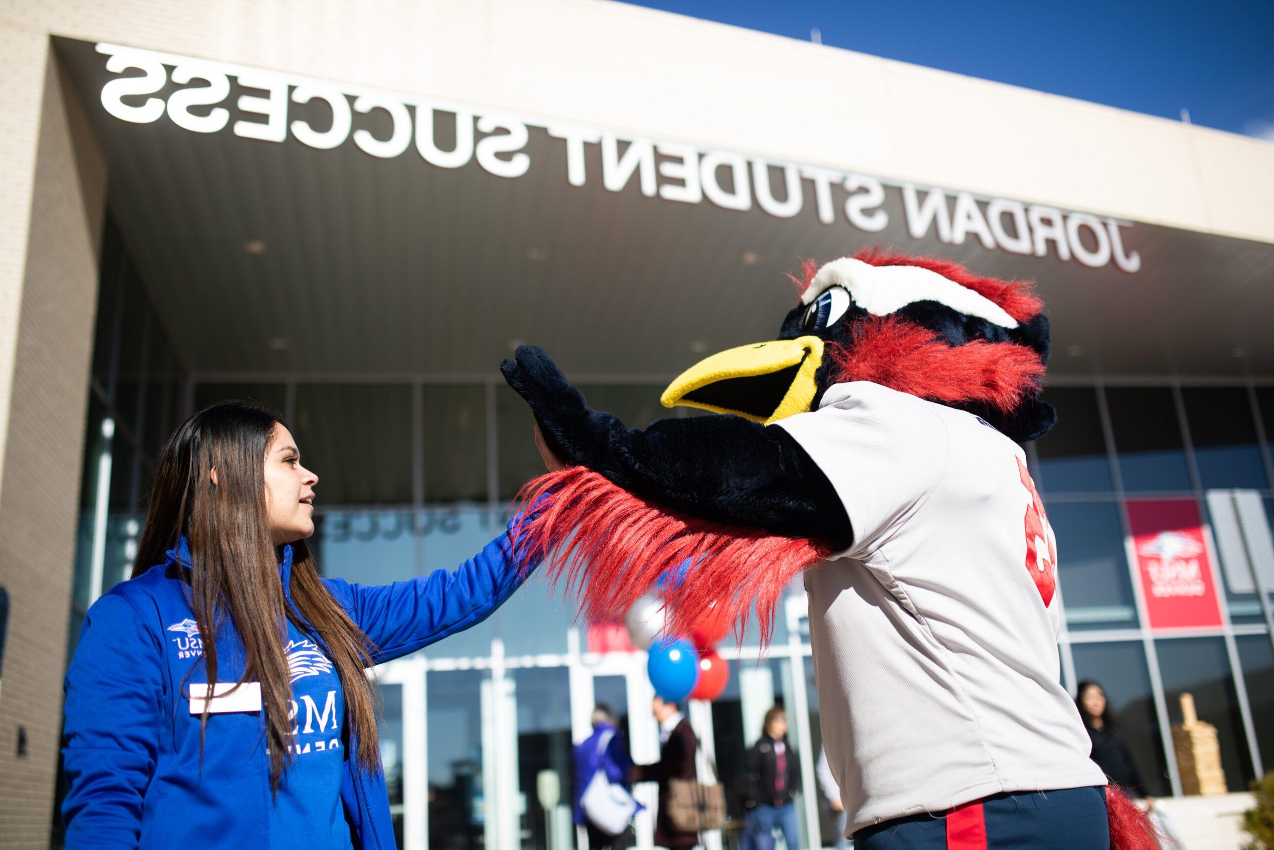 Rowdy the Roadrunner, 密歇根州立大学丹佛's mascot, high-fiving a student in front of the Jordan Student Success Building